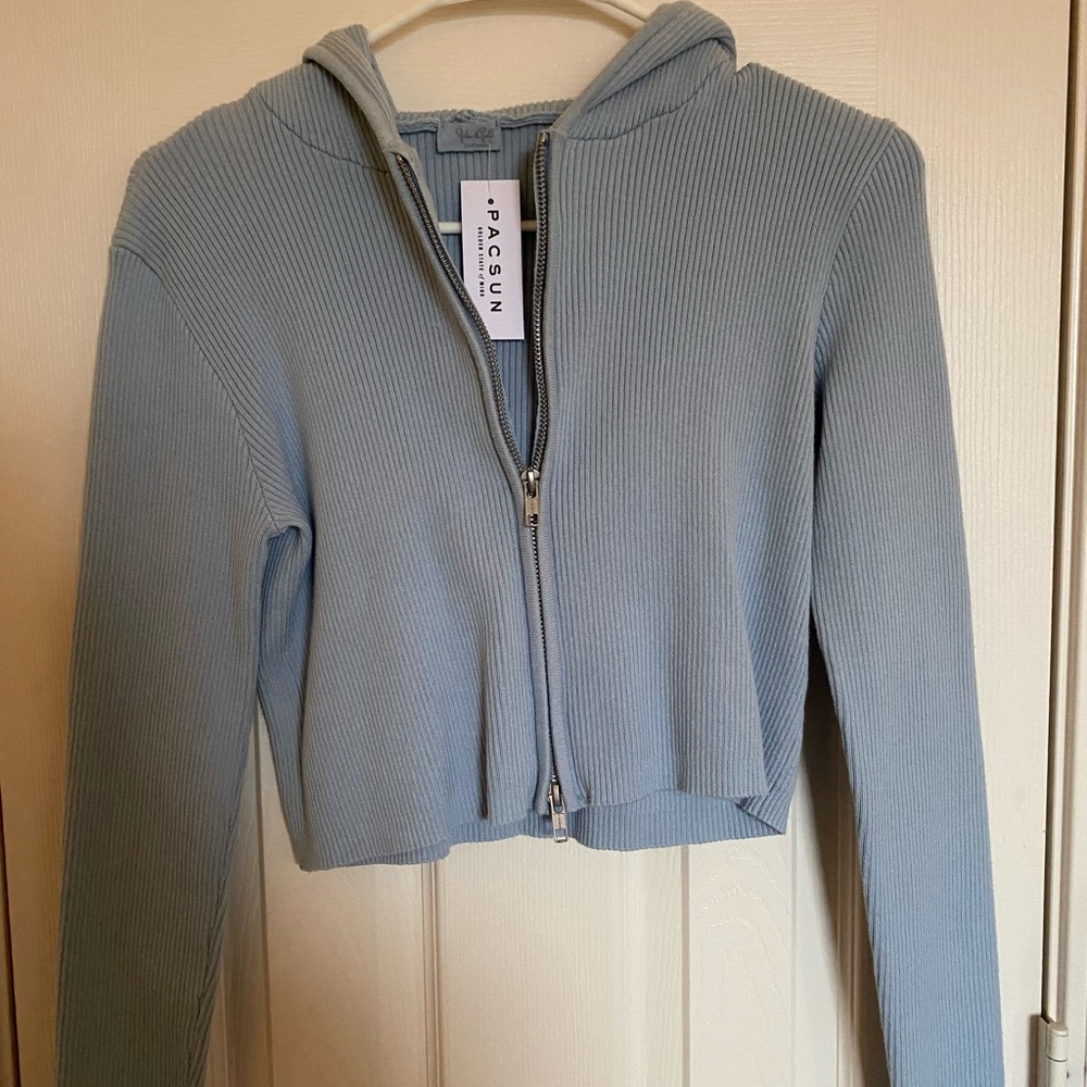 pacsun cropped sweater